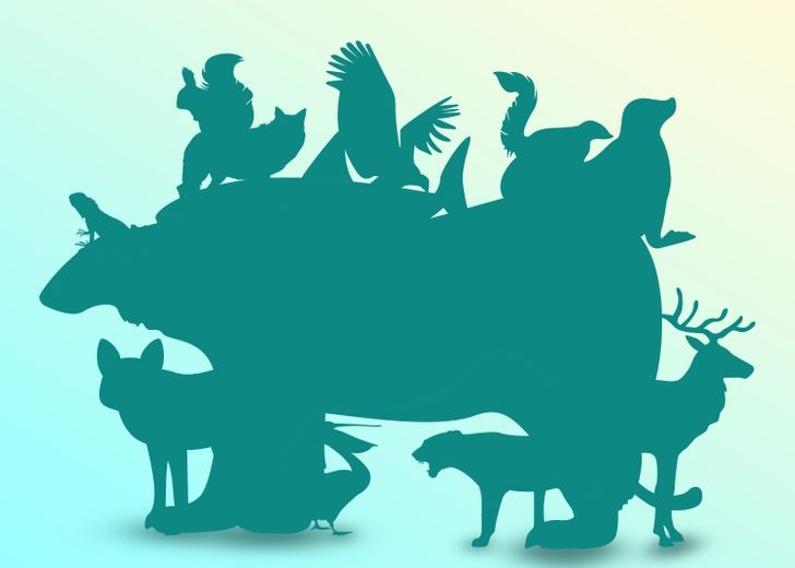 Optical Illusion Find Animals